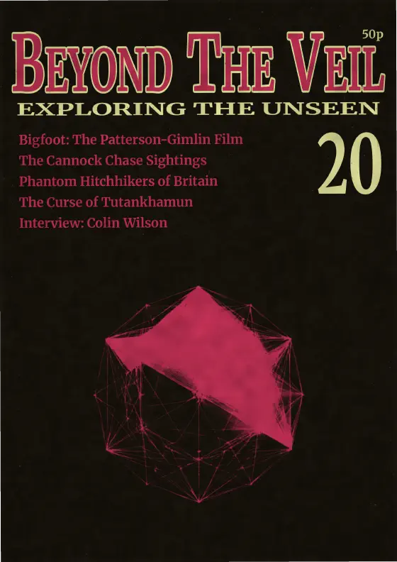 Issue 20 cover