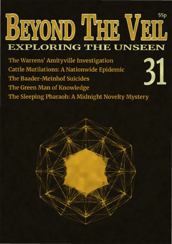 Issue 31 cover